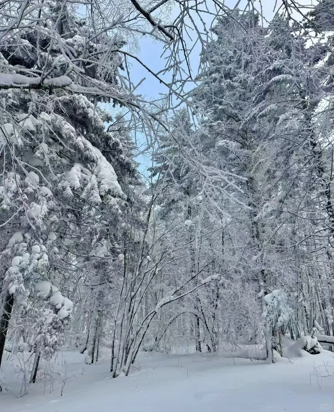 来长白山不踩雷 这么美的雪景怎么能拒绝