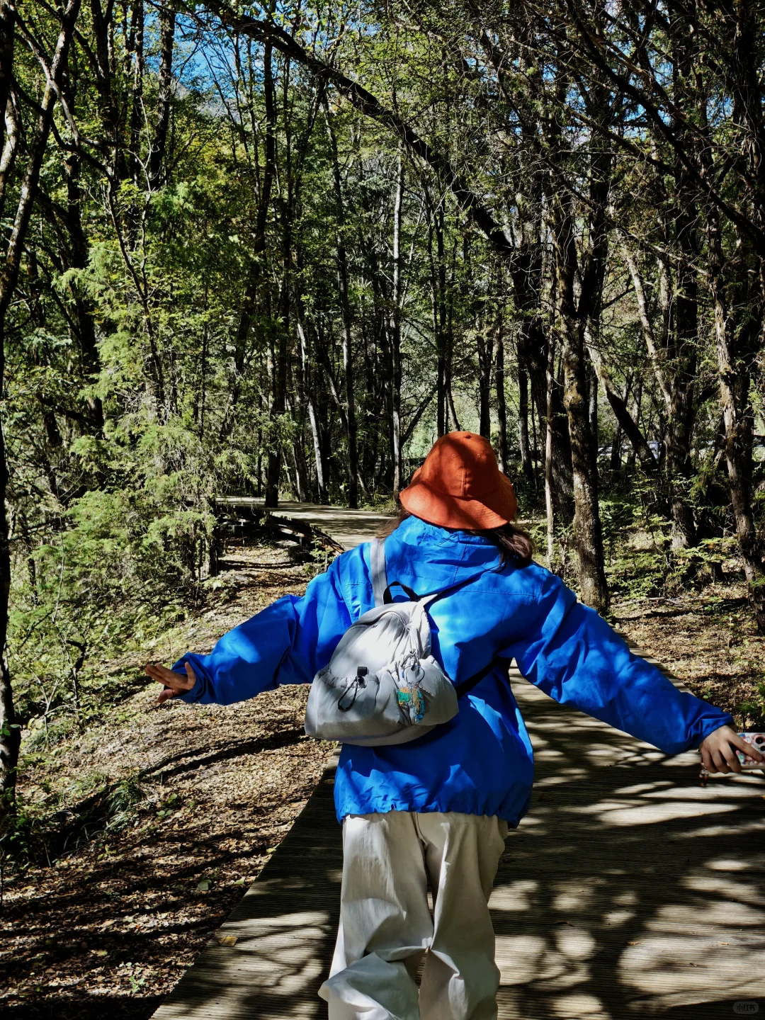 九寨沟很美,但我不会再去,原因在最后一张