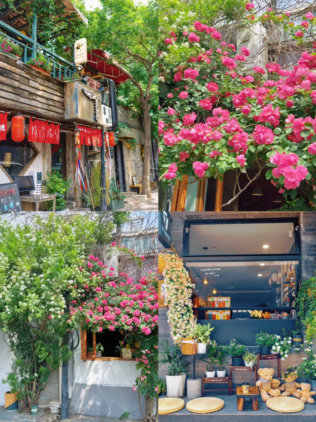 北京City walk｜初夏胡同🌺浪漫一日游路线🔥