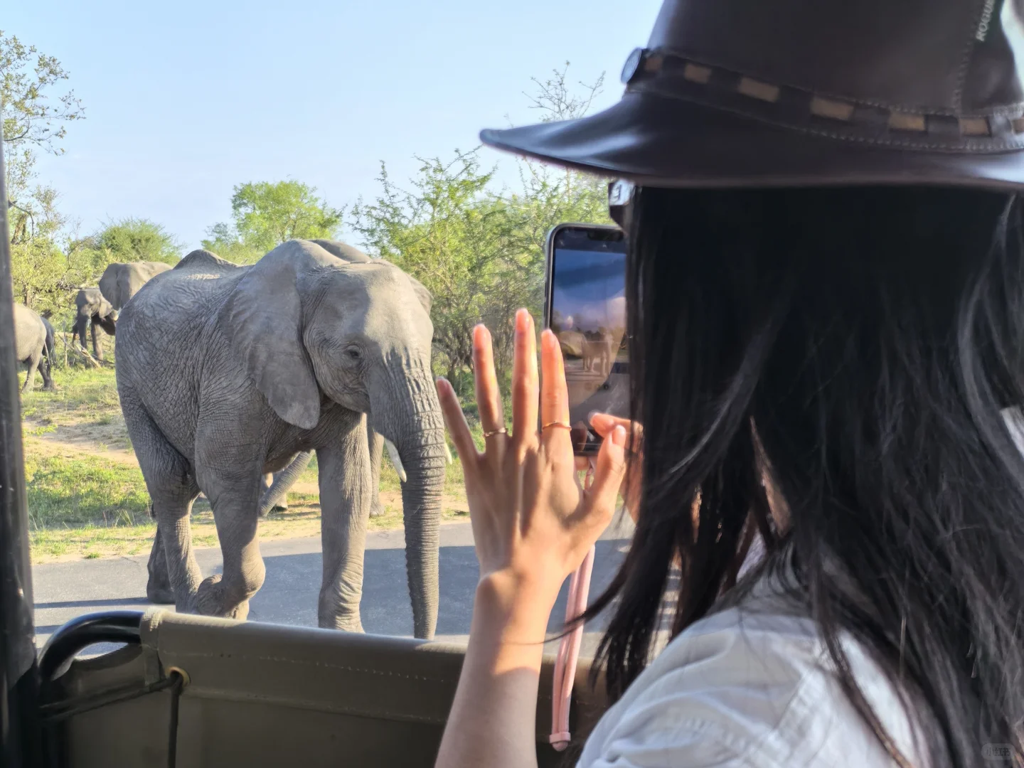🇿🇦Kurger Safari集齐big five