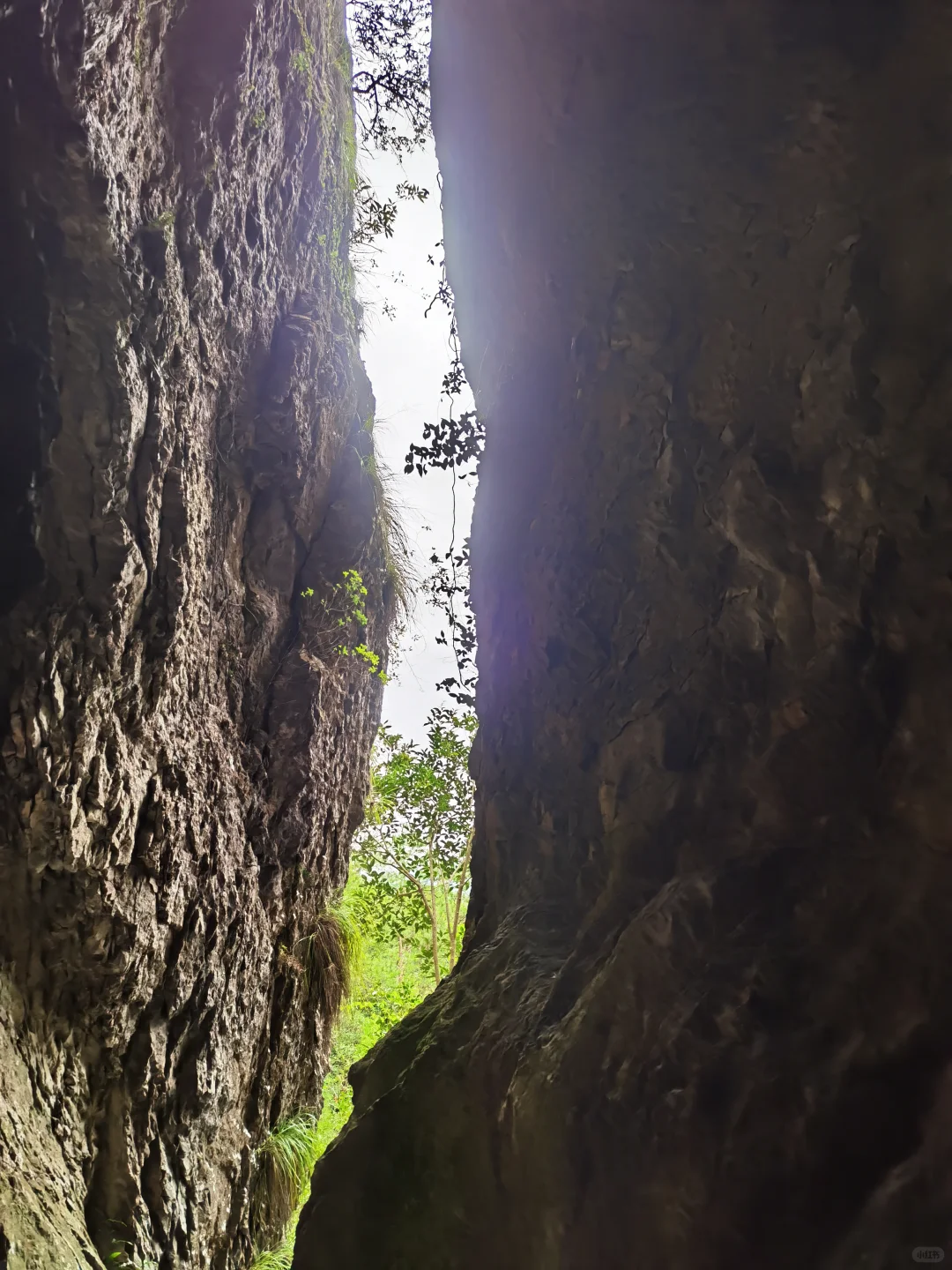 温州中雁荡山
