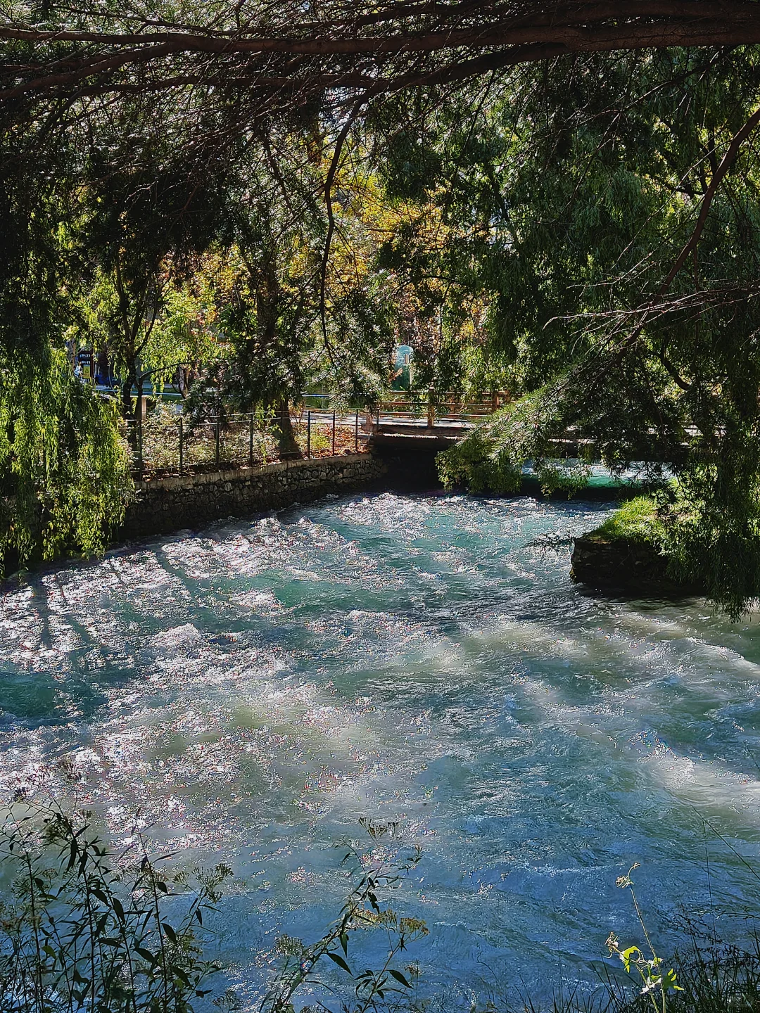 九寨沟很美,但我不会再去,原因在最后一张