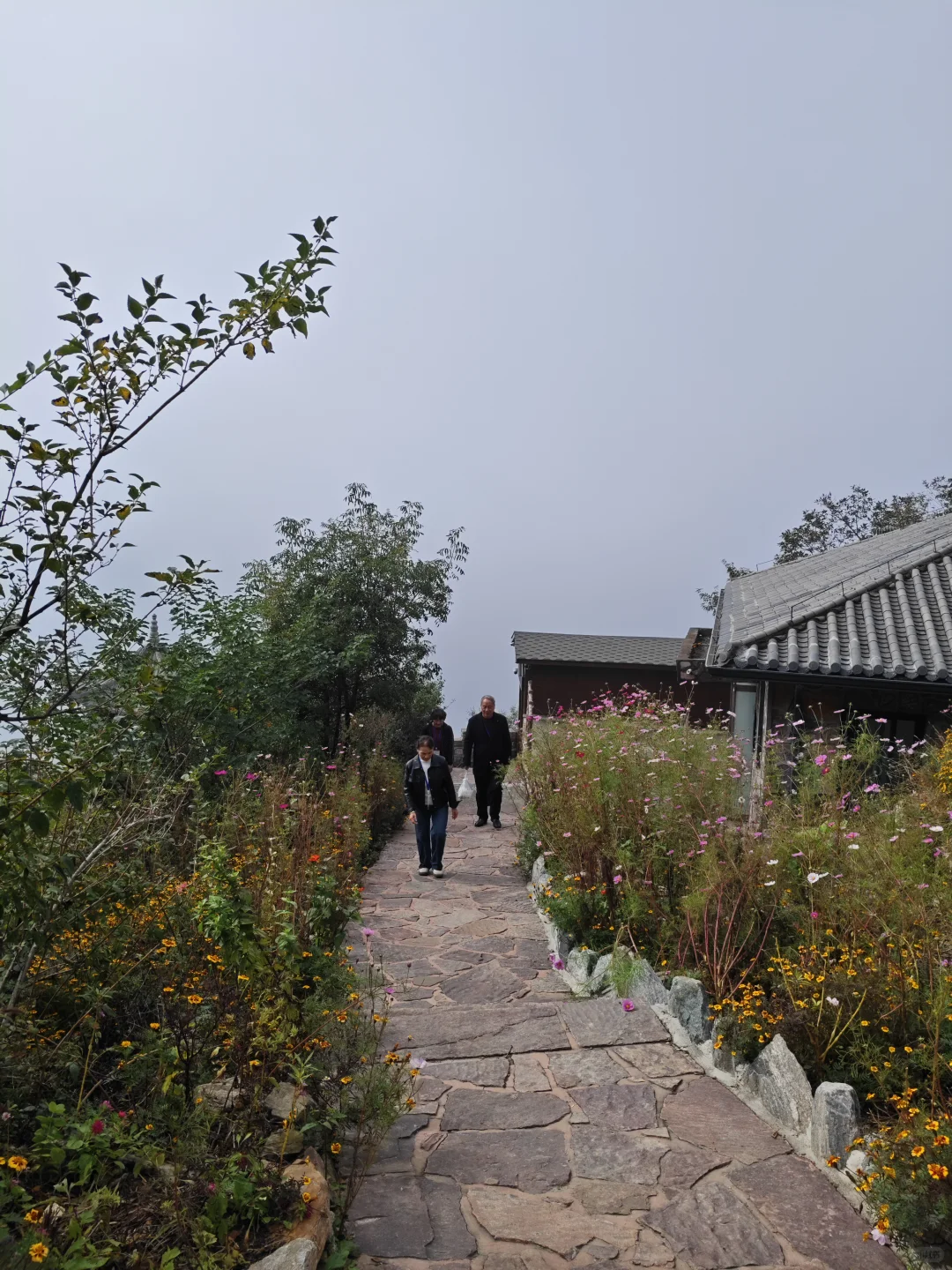 河南最像仙界的景点📍天界山一日游攻略