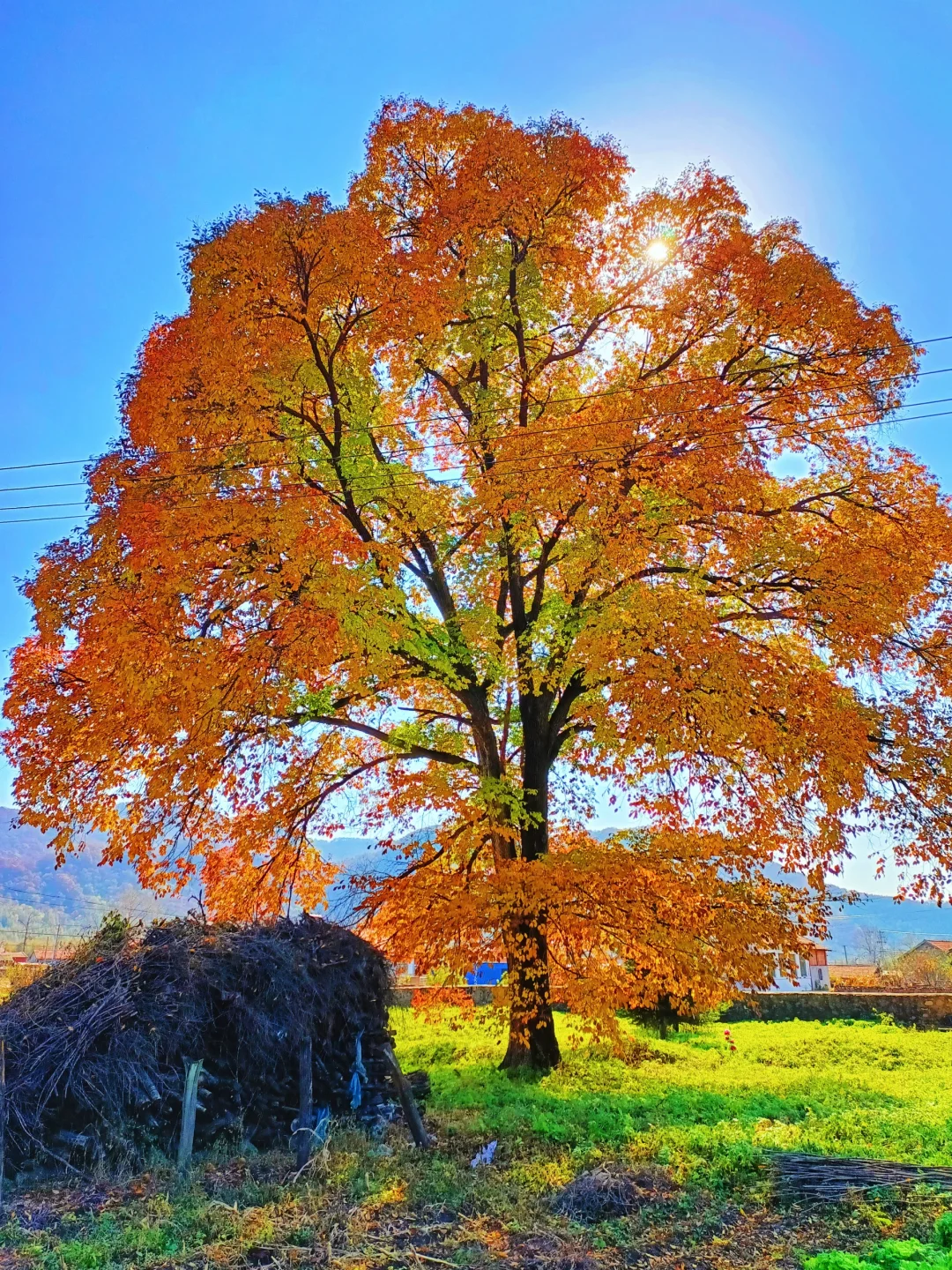 辽宁赏秋|本桓公路免费冷门拍照点详解