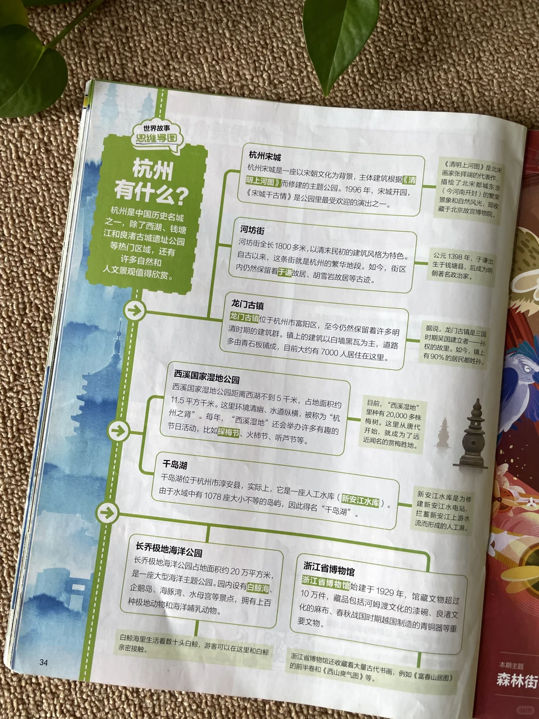 没去杭州？先看《好奇号》！📚
