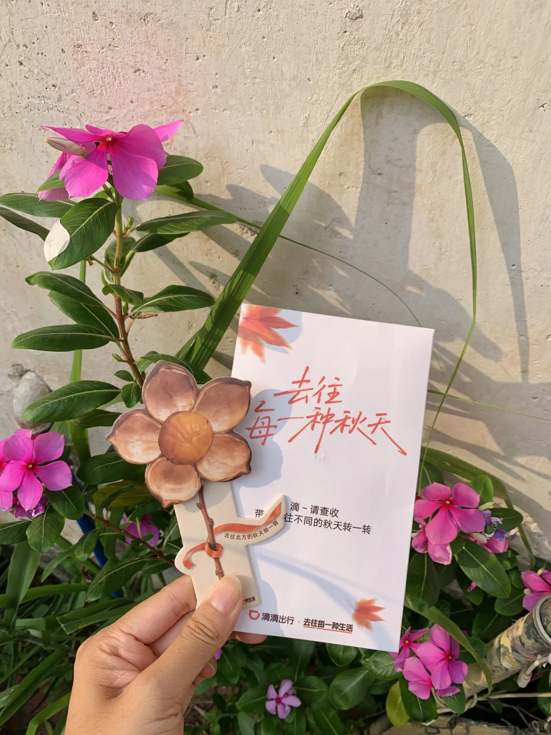 “后来我便逢人就说…秋天的广州有多美‼”