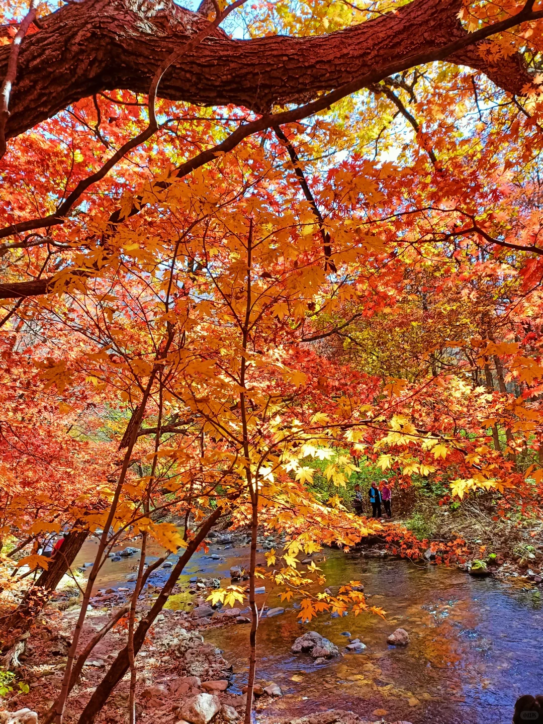 辽宁赏秋|本桓公路免费冷门拍照点详解