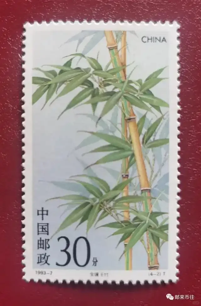 连云港（44）-延福观