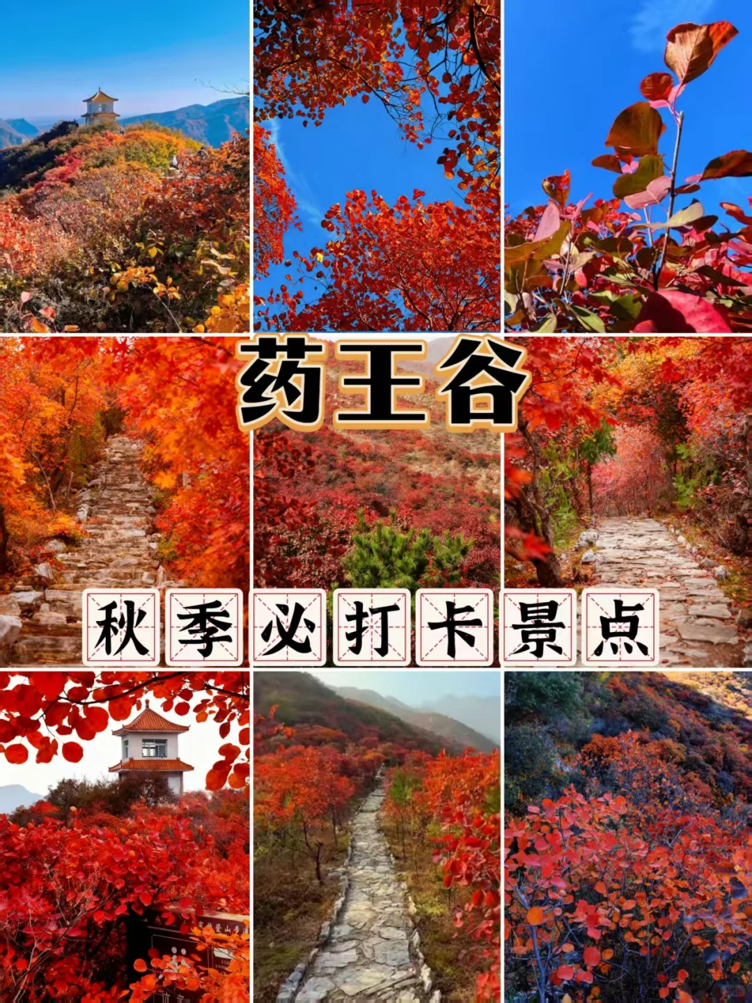 京郊红叶秘境｜药王谷徒步攻略｜人少景美