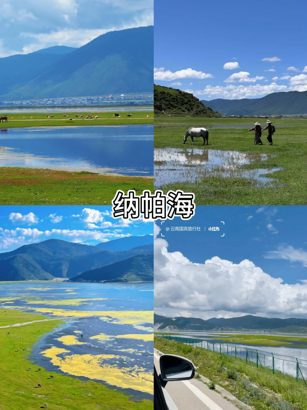 云南旅游必打卡九大景点攻略