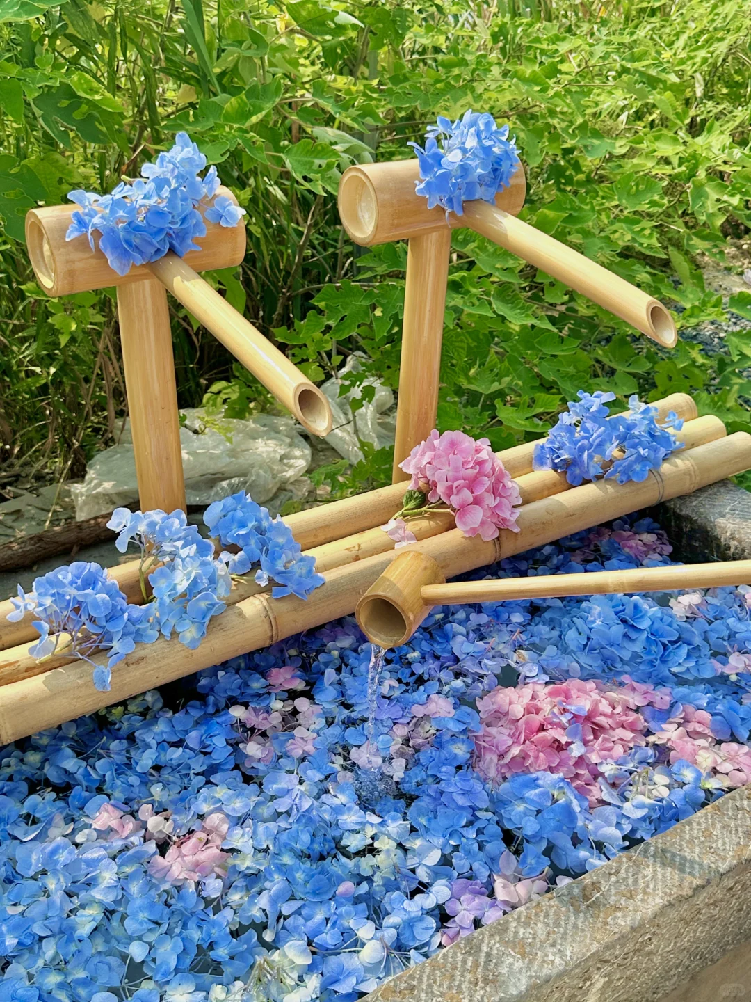 苏州本地人推荐！这个季节直奔阳澄湖！
