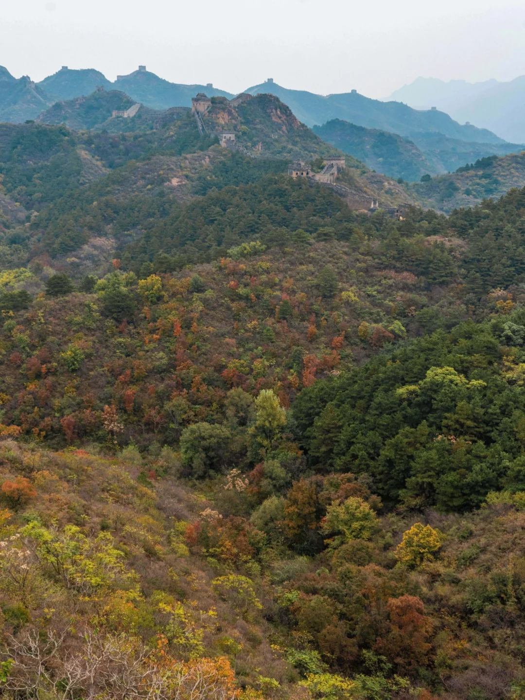 金山岭长城 部分秋景已上线 10.15实拍