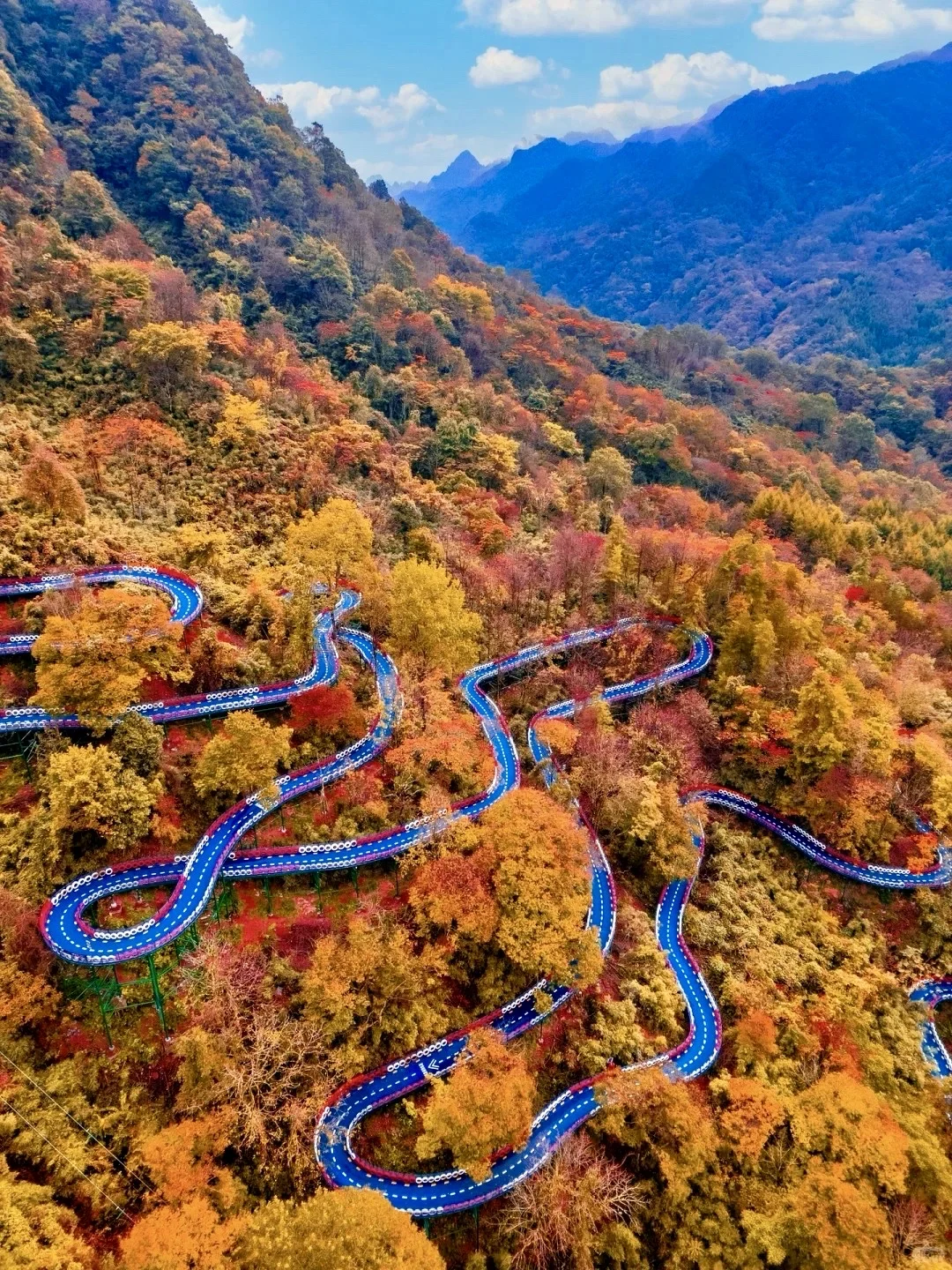 国家地理没骗我！这里的秋天，美到封神……