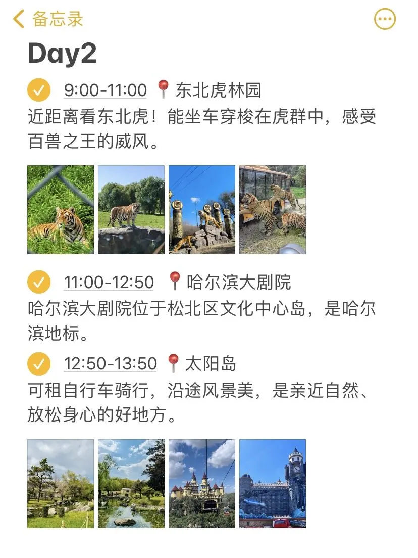 哈尔滨两天一夜（去前必看！！！）