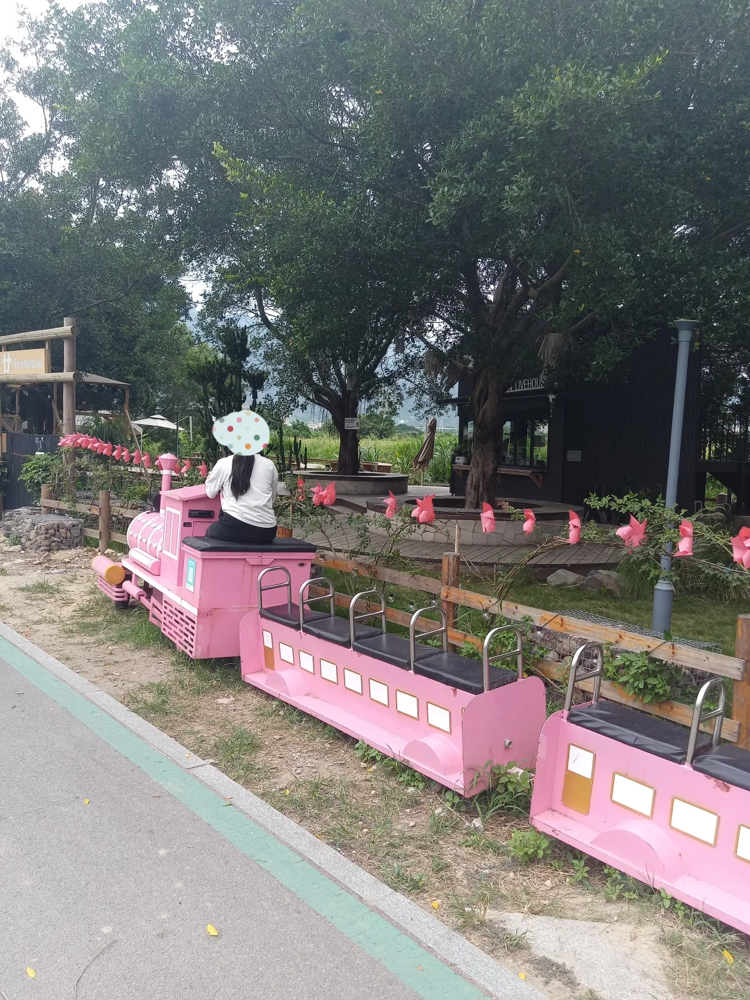 也去拍了那个粉色的玩具小火车