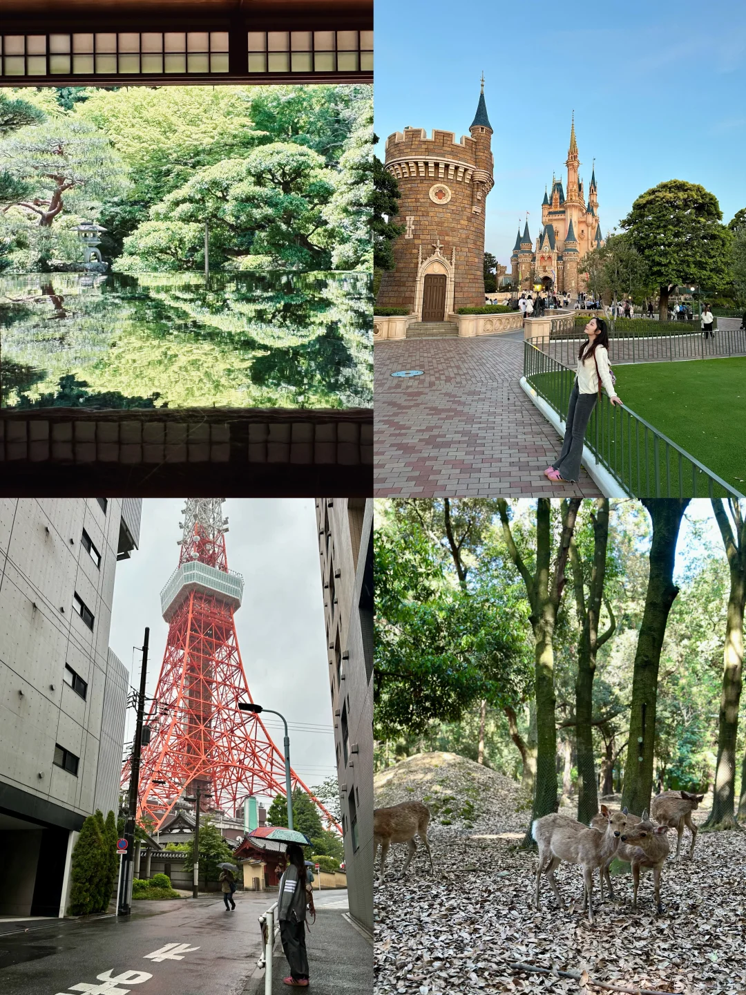 大厂1.5年如何实现8次出国旅行（不咋请假版