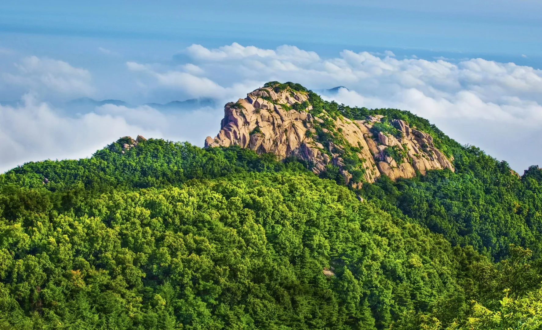 千万不要来沂山！因为对山东老乡免费啦！