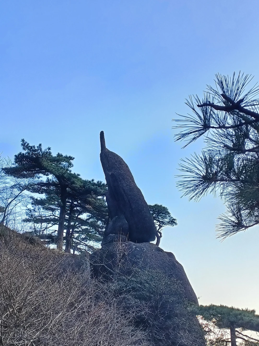 12.08大美黄山！