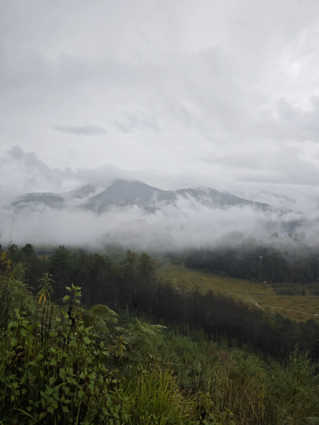 火山与热海