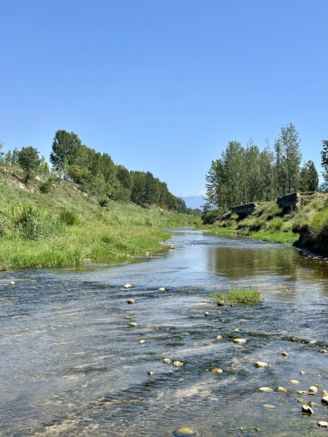 秦岭山与河视频没想到好多人喜欢，图片安排