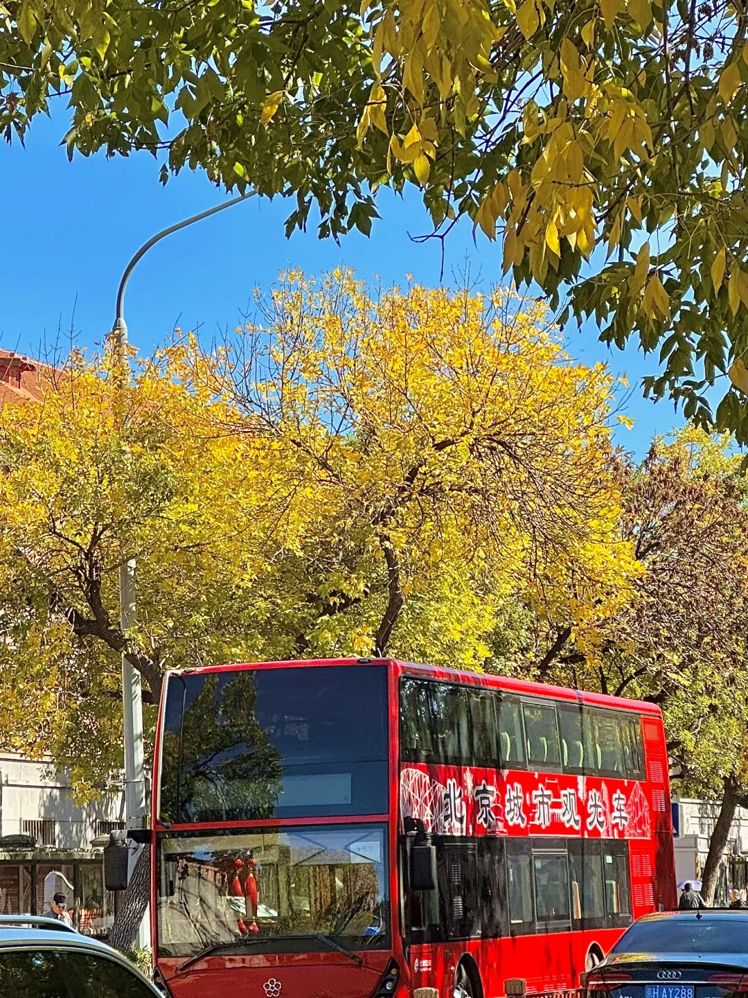 北平之秋已上线!北京必逛的8️⃣条赏秋路线!