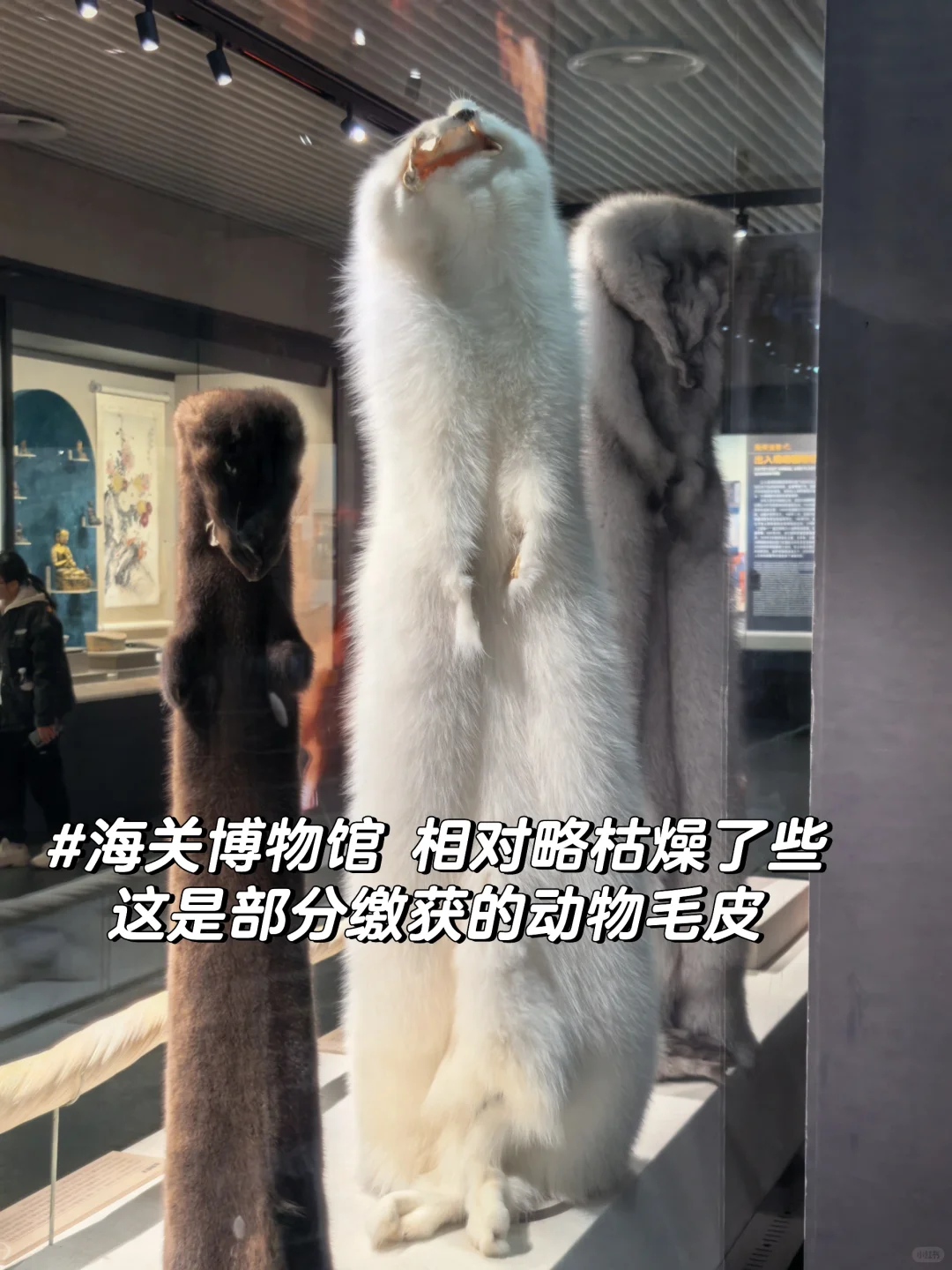❗️北京本地人真心提醒，故宫等地可以不去