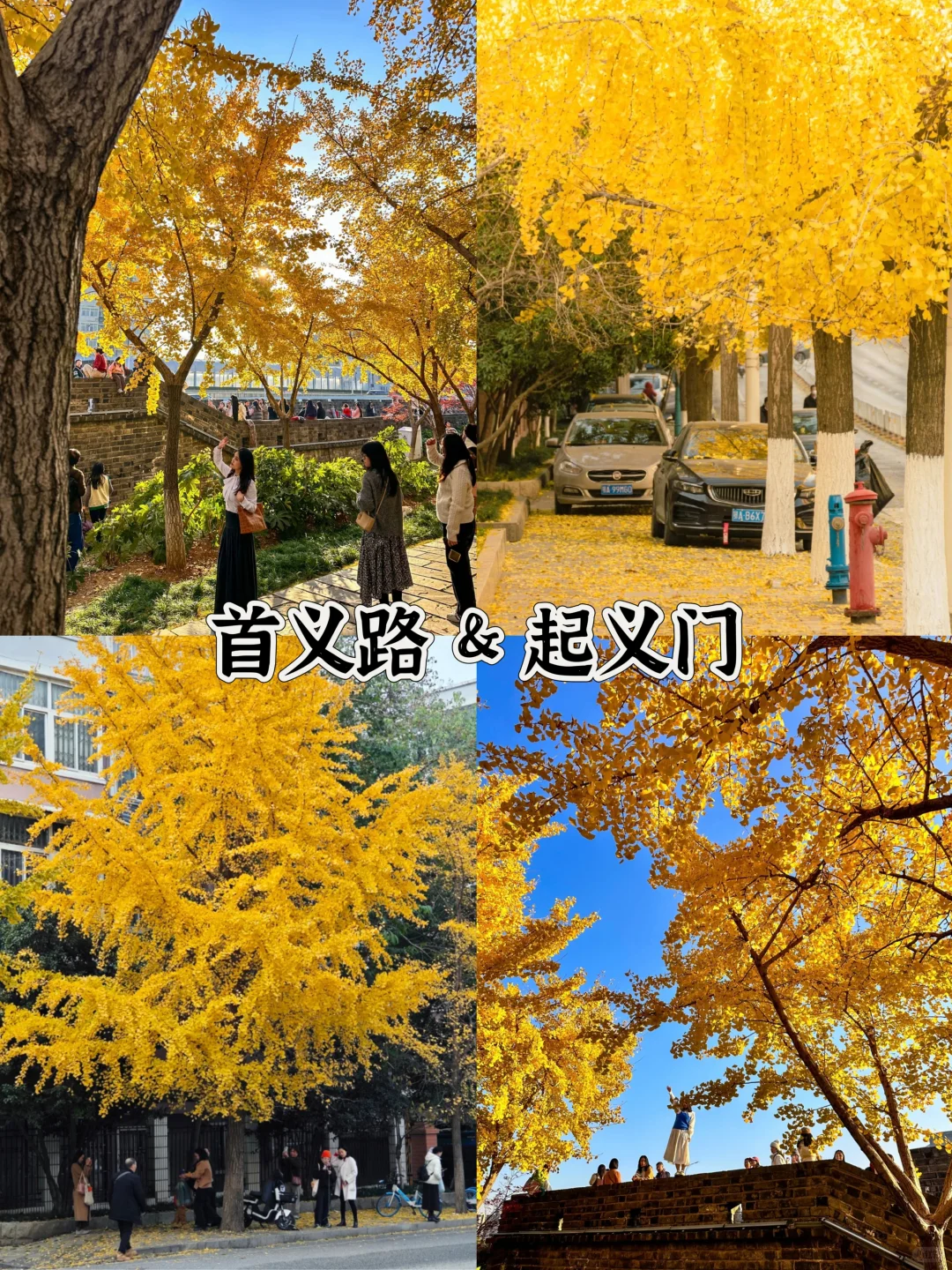2025武汉赏秋8大打卡地！
