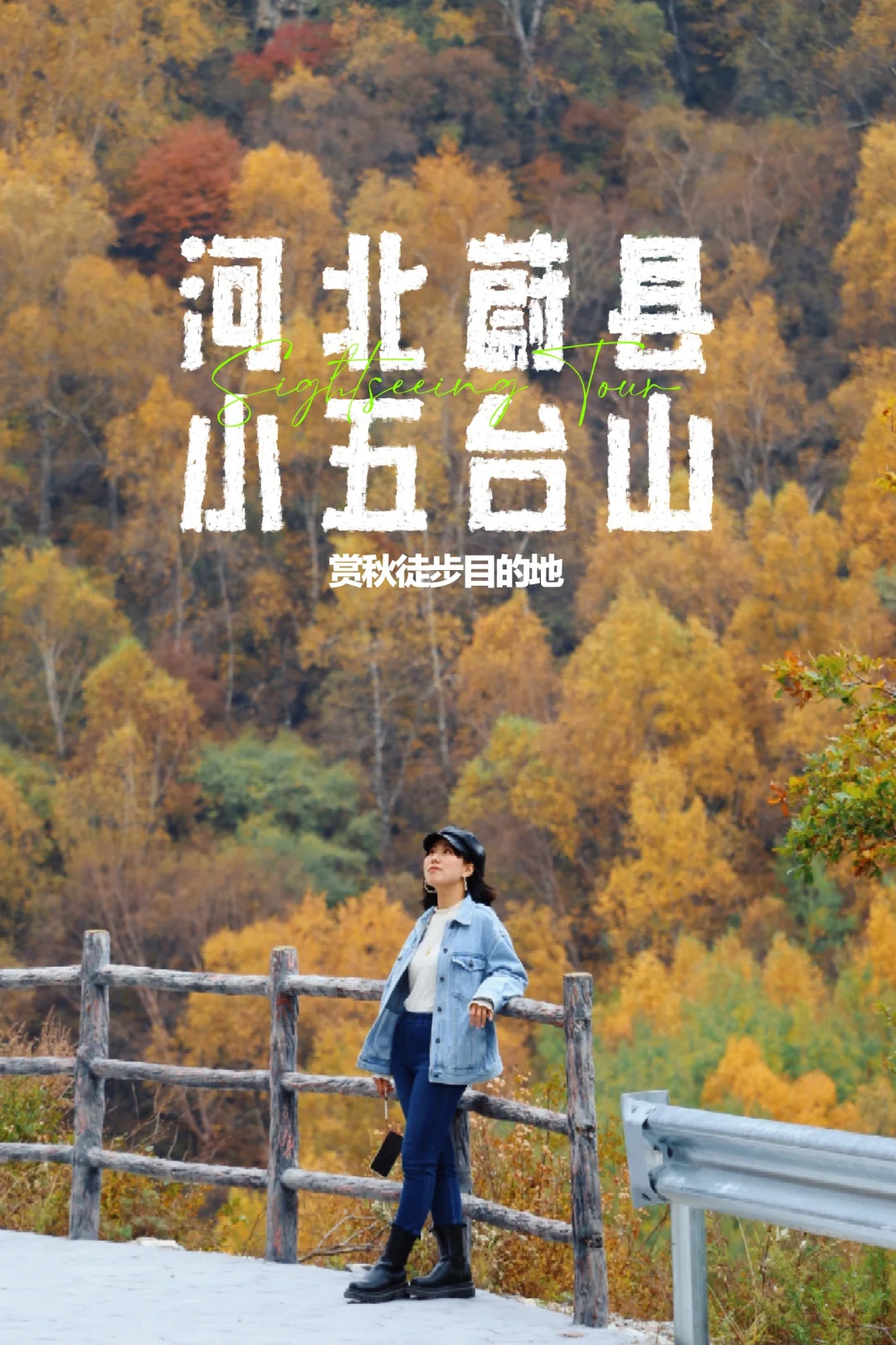 北京周边｜蔚县小五台山看层林尽染🍁