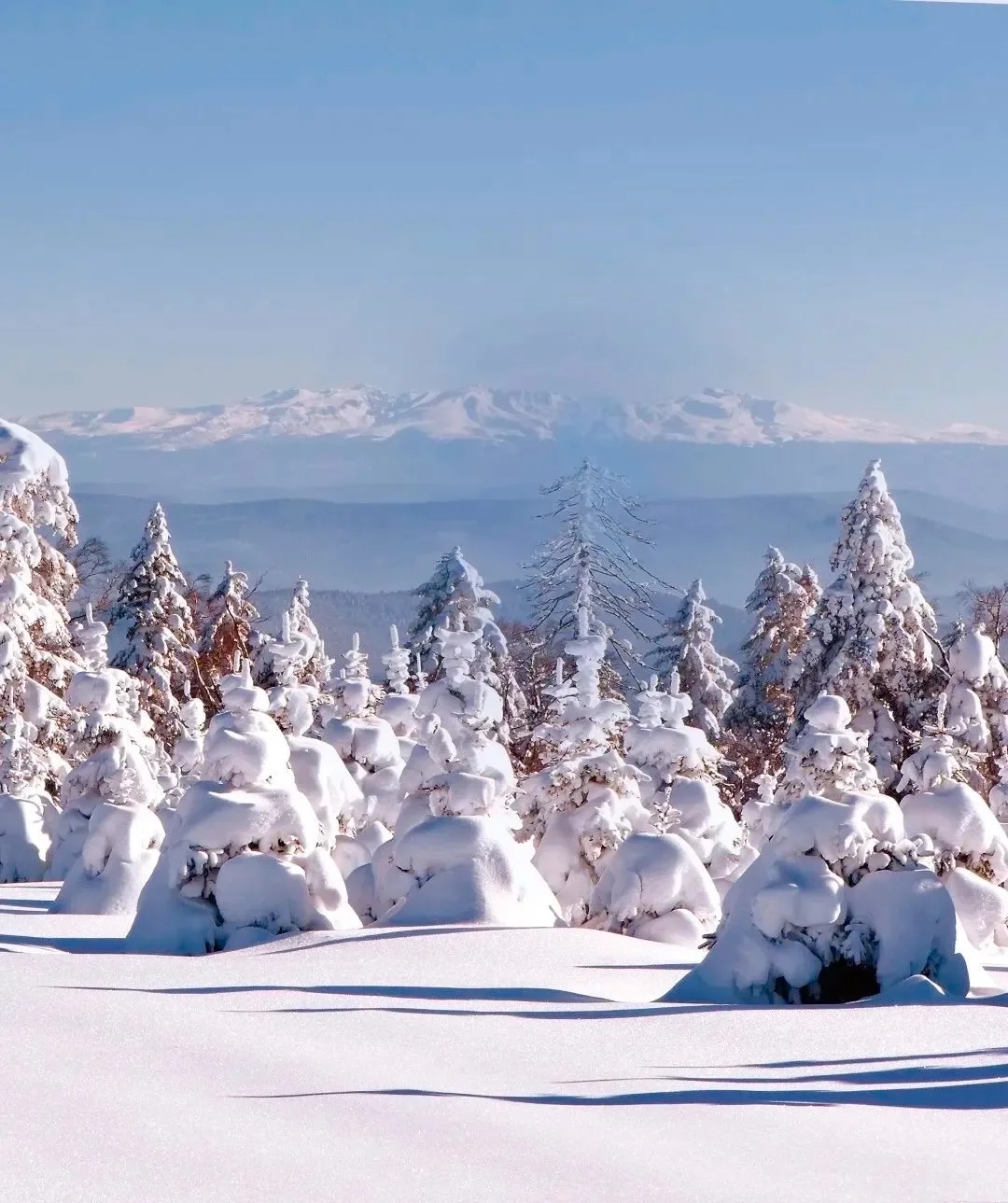 来长白山不踩雷 这么美的雪景怎么能拒绝