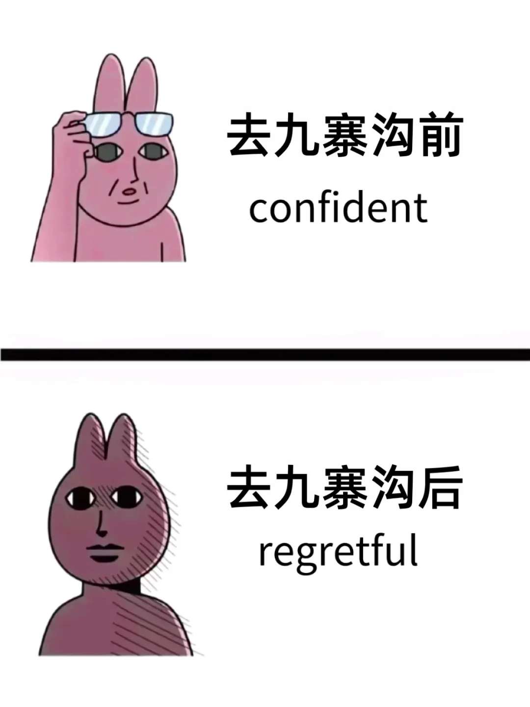 为什么九寨沟旅游前没刷到这篇😭