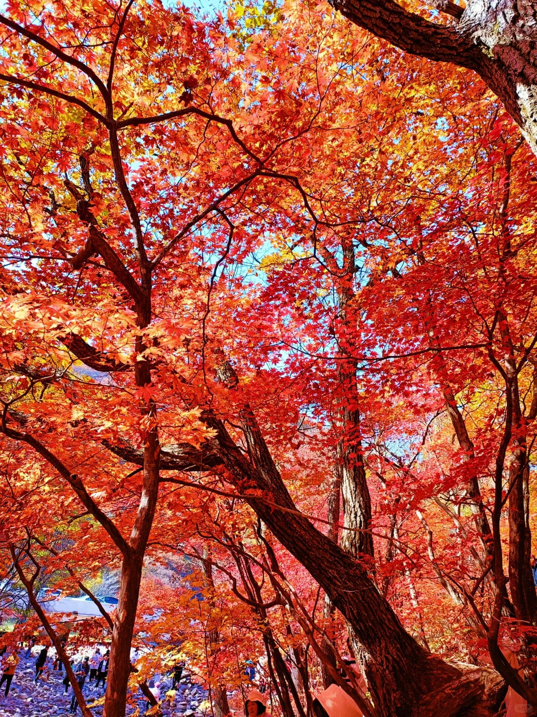 辽宁赏秋|本桓公路免费冷门拍照点详解