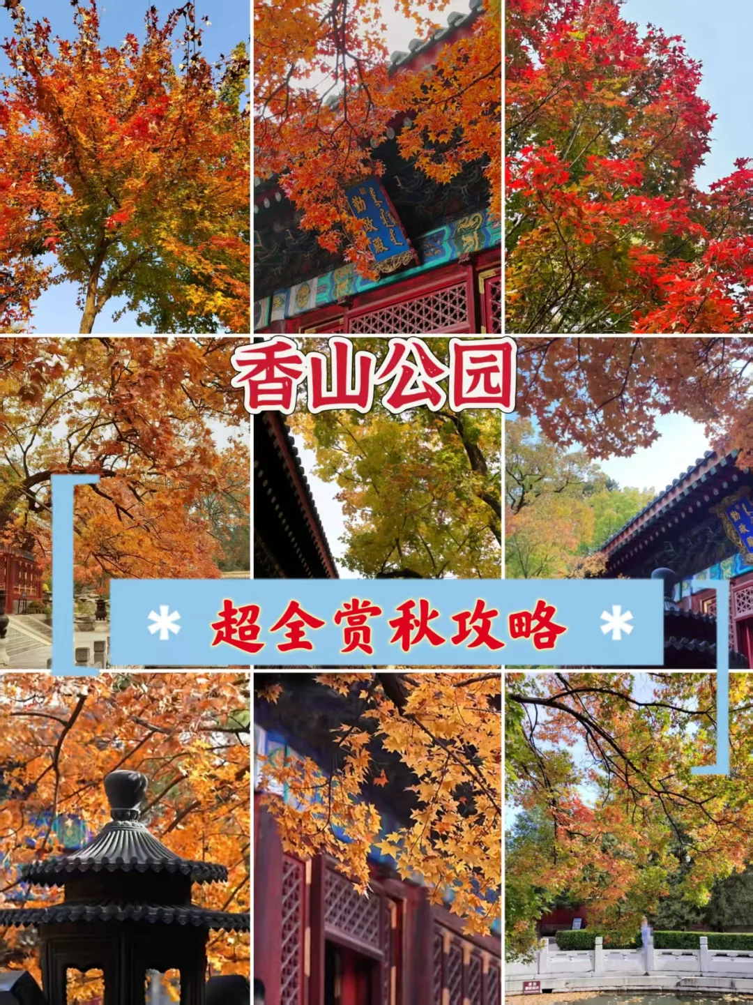 🍁北京秋日顶流！香山公园赏枫指南