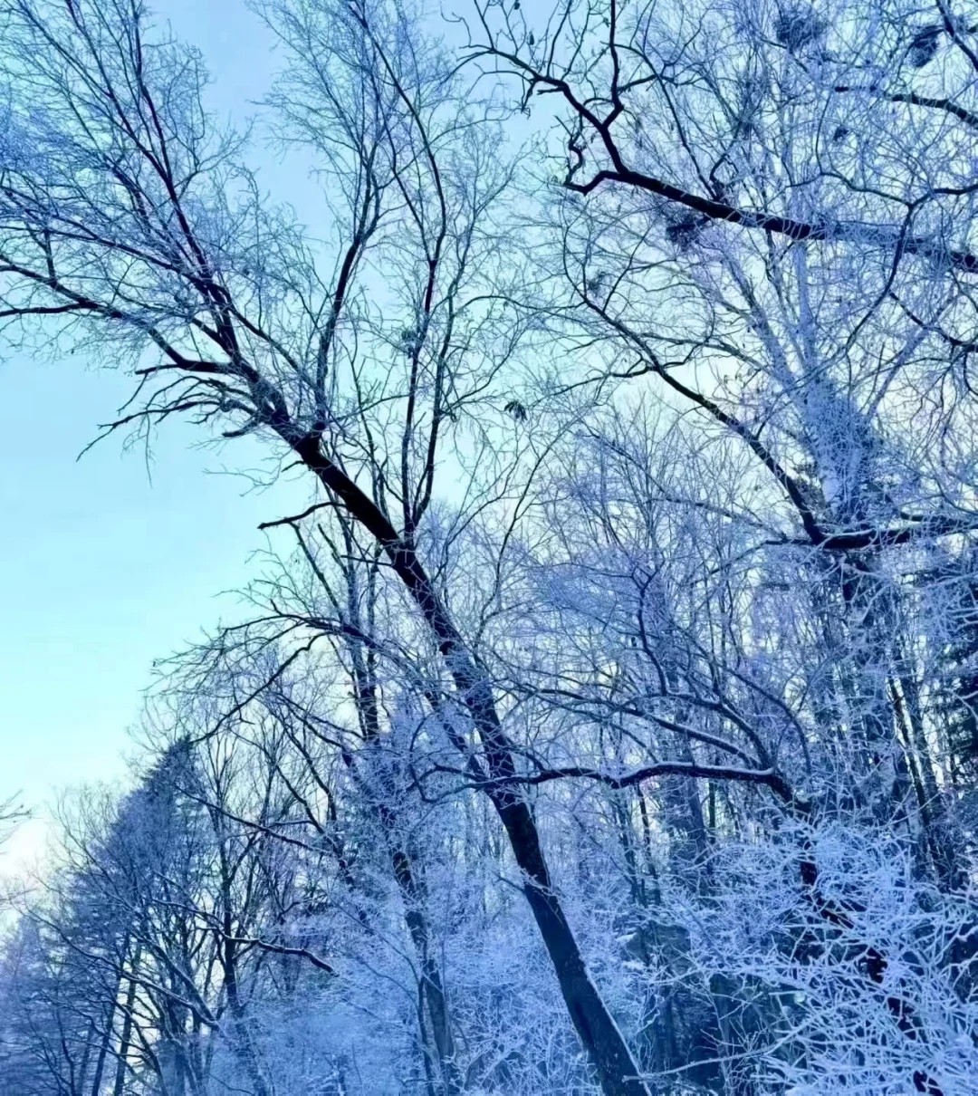 来长白山不踩雷 这么美的雪景怎么能拒绝