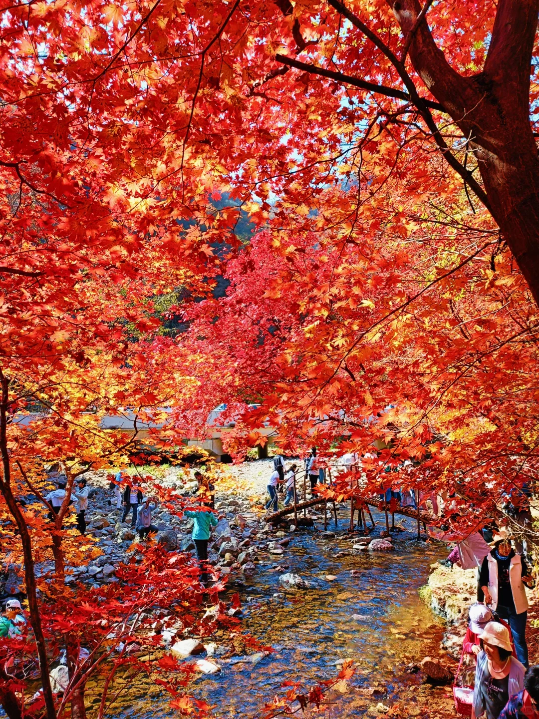 辽宁赏秋|本桓公路免费冷门拍照点详解