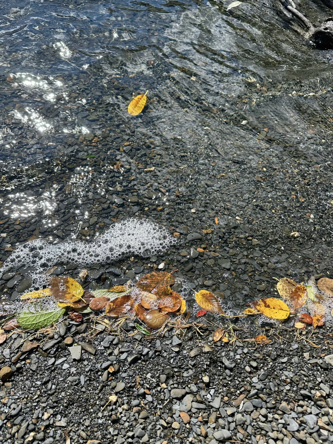 川西小众美景，承包整个景区