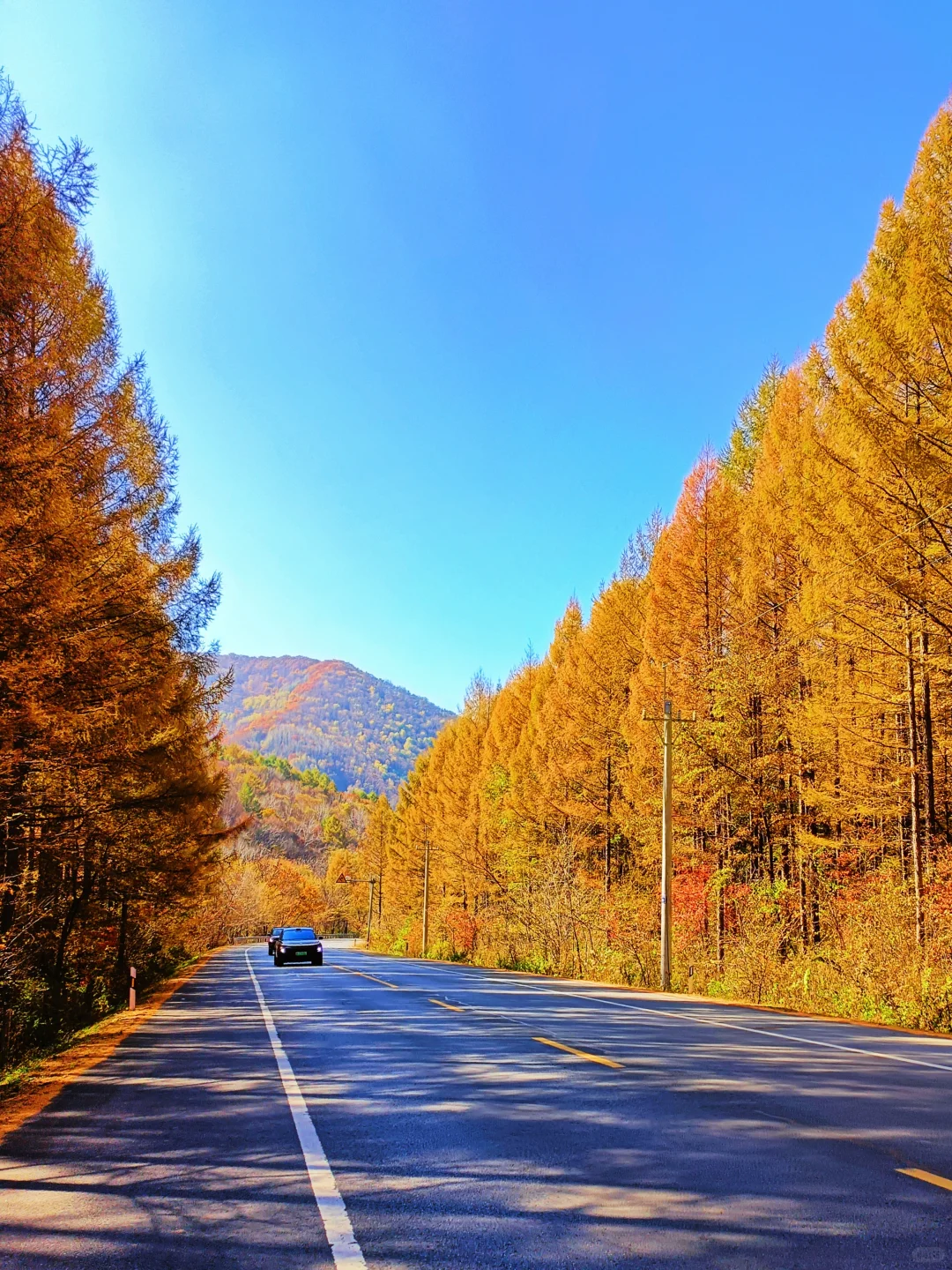 辽宁赏秋|本桓公路免费冷门拍照点详解