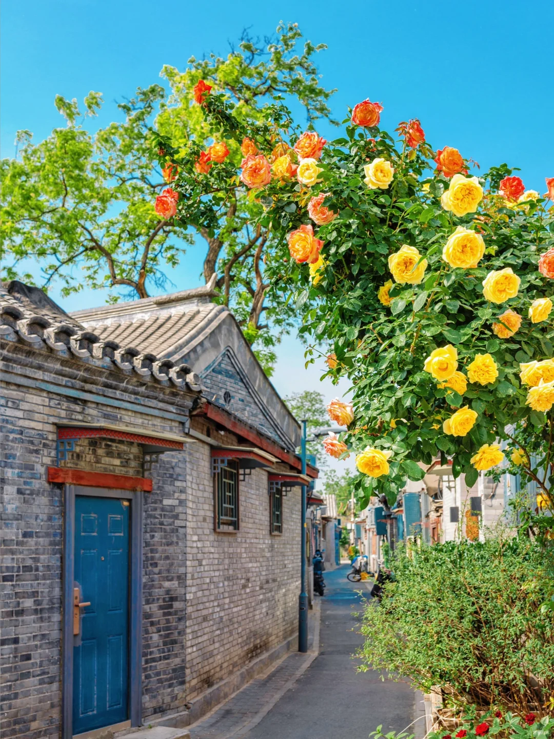 北京City walk｜初夏胡同🌺浪漫一日游路线🔥