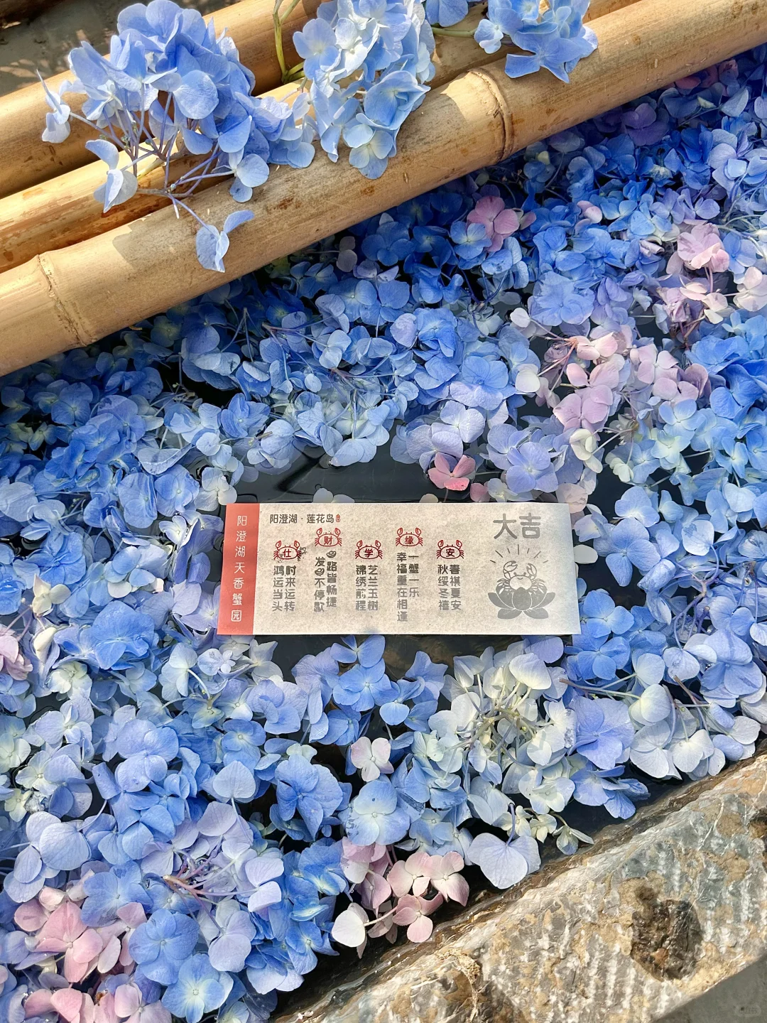 苏州本地人推荐！这个季节直奔阳澄湖！
