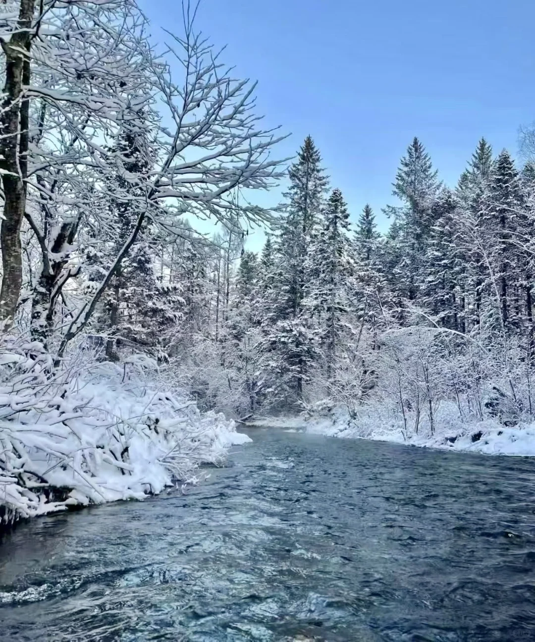 来长白山不踩雷 这么美的雪景怎么能拒绝