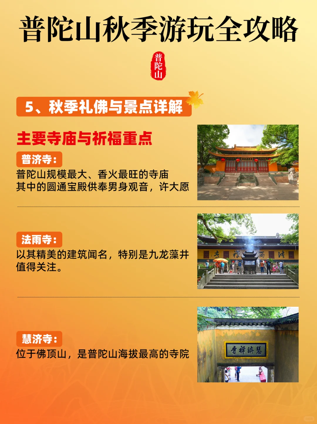 秋天来普陀山才是最棒的！一篇告诉你