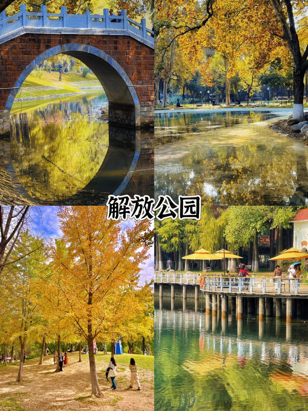 2025武汉赏秋8大打卡地！
