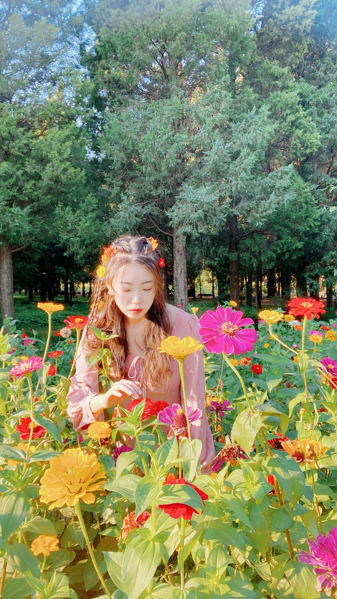秋 | 油画般的圆明园花海美疯了🍂