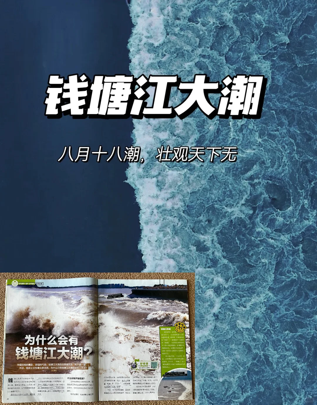 没去杭州？先看《好奇号》！📚