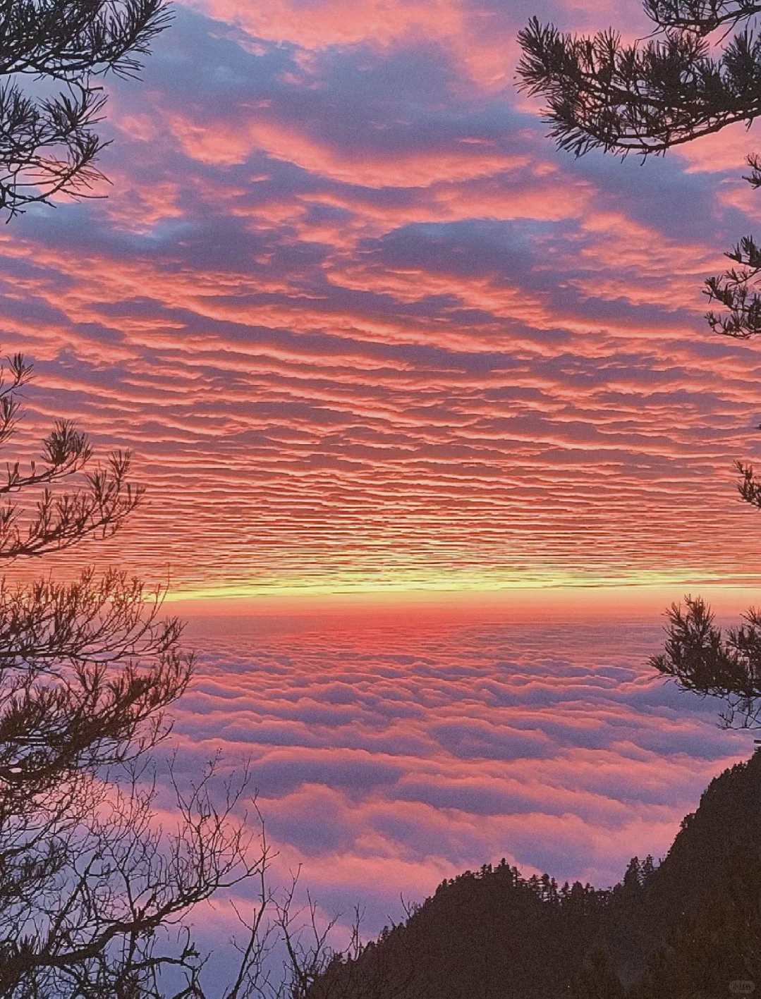 🌅日出云海，仙境之旅🌄