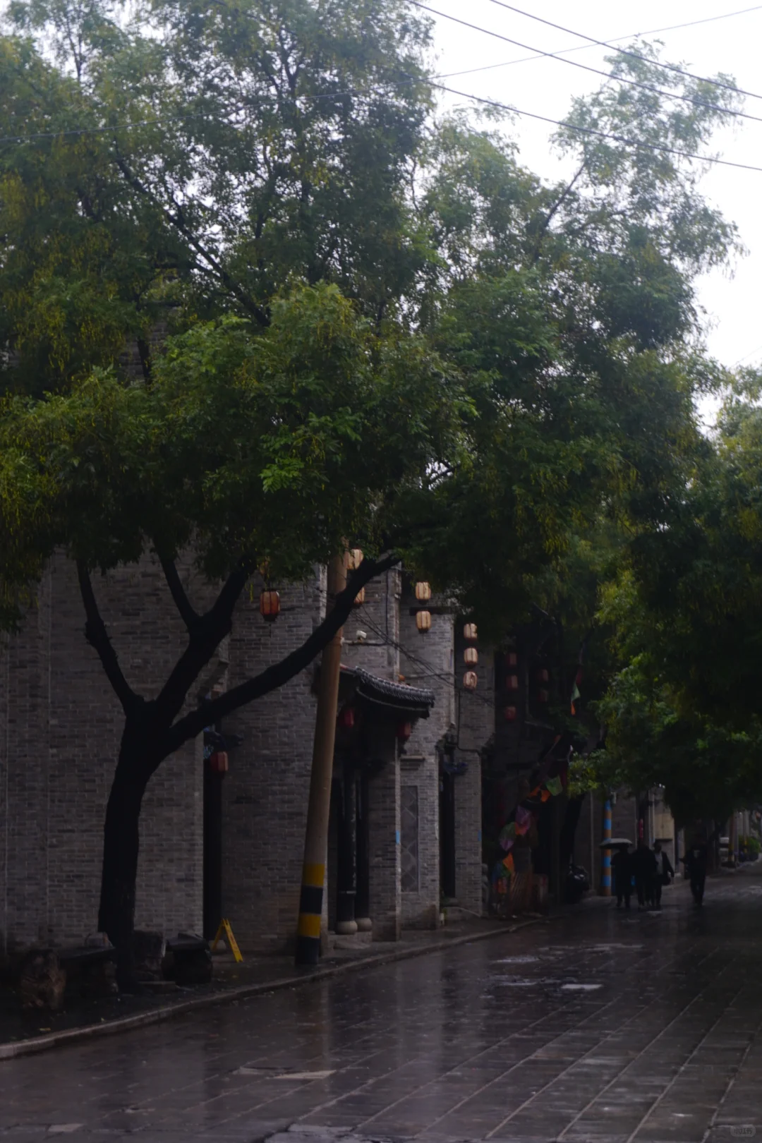 潍坊印象: 肆意的老头乐&一言难尽的景区