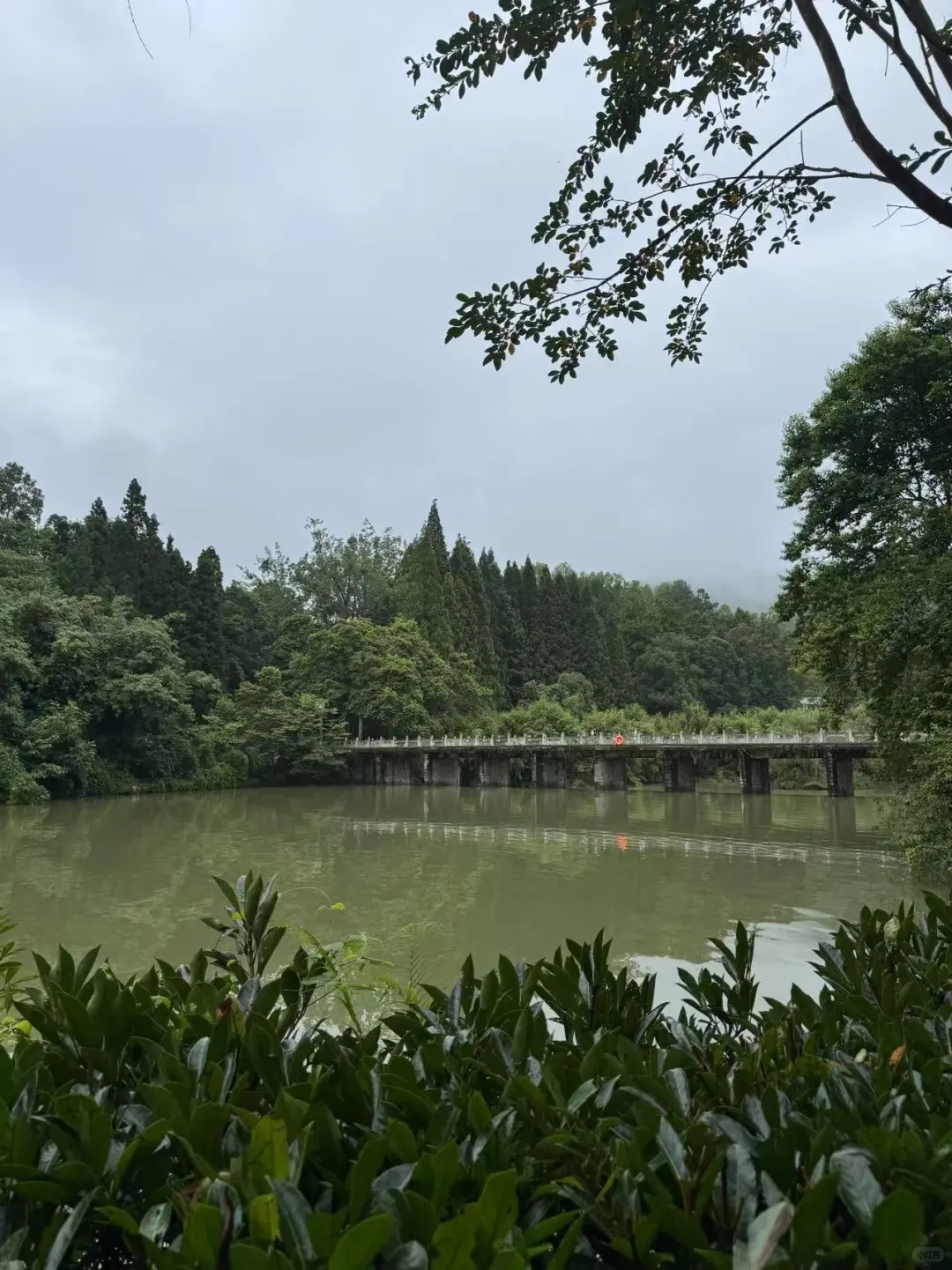 旅行篇-安顺一个被低估的小城-龙宫
