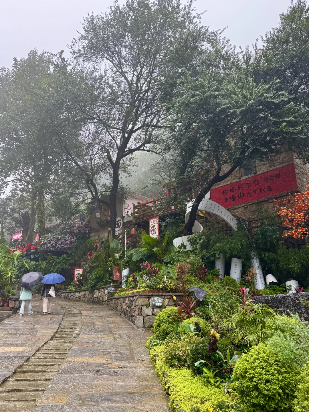 📍淄博红叶柿岩