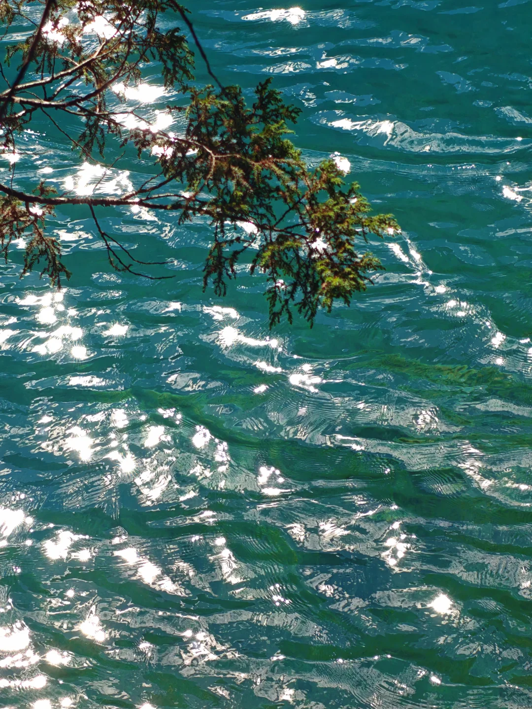 九寨沟很美,但我不会再去,原因在最后一张