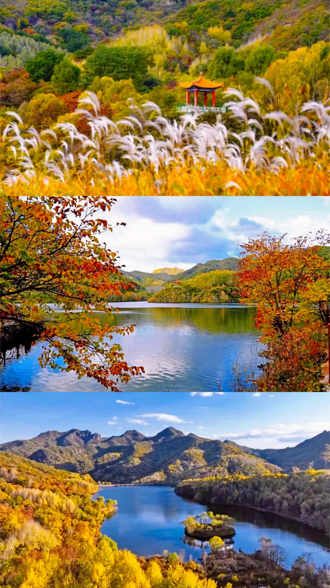 接下来的北平之秋🍂这几个地方便是人间天堂
