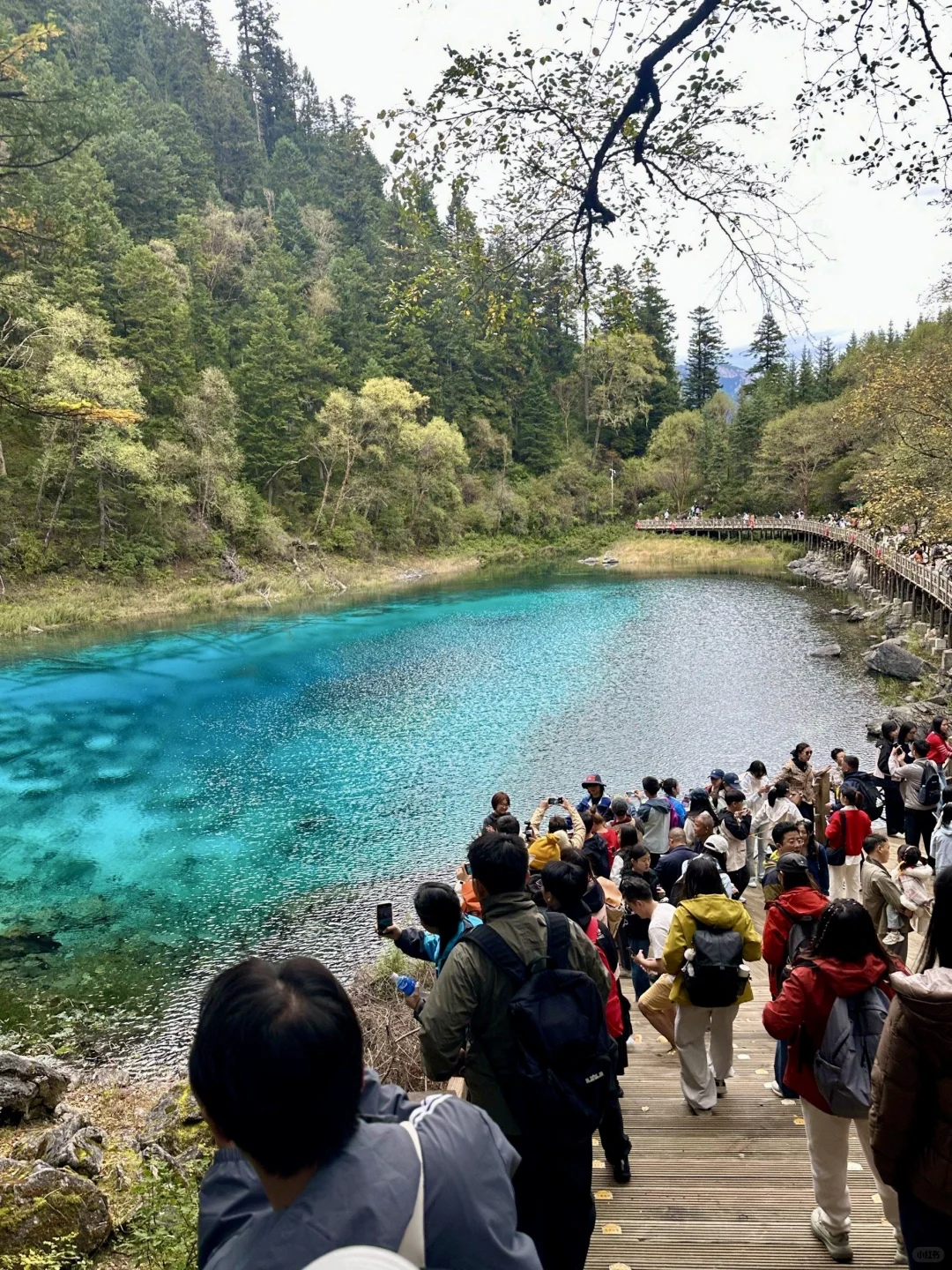九寨沟8小时速通攻略（懒人不绕路版）